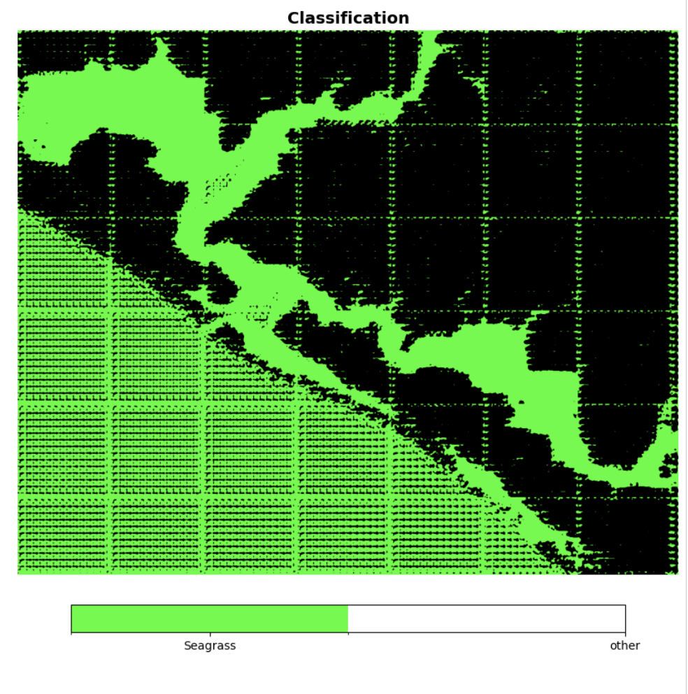 seagrass-classification-without-landmask